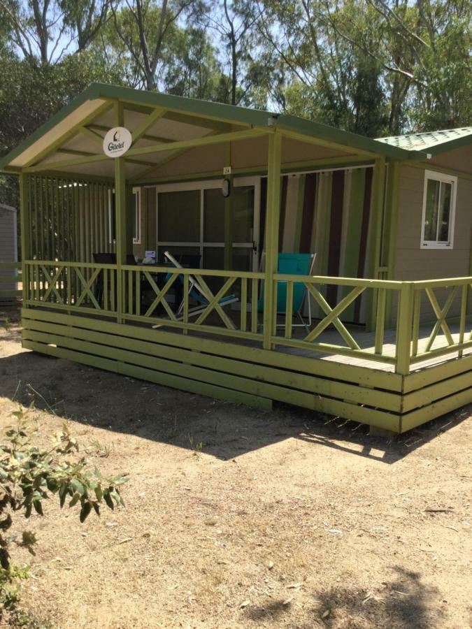 Camping Bella Vista كالفي المظهر الخارجي الصورة