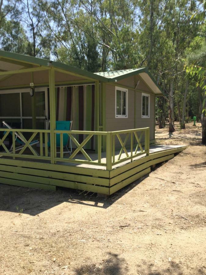 Camping Bella Vista كالفي المظهر الخارجي الصورة
